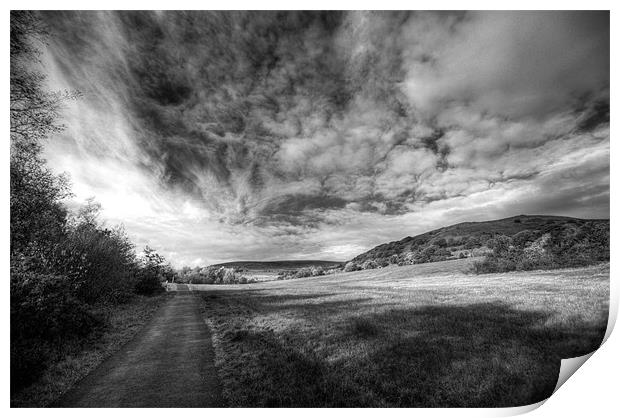 Dare Valley Country Park Print by Steve Purnell