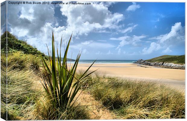 'In Crantock's Dunes' Canvas Print by Rob Booth
