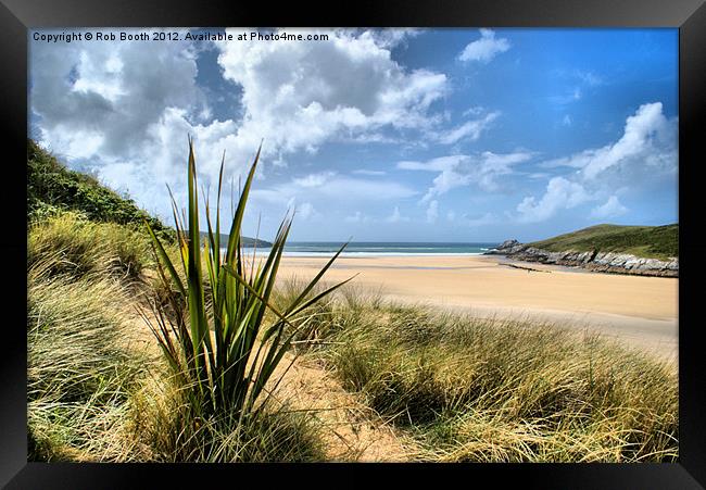 'In Crantock's Dunes' Framed Print by Rob Booth