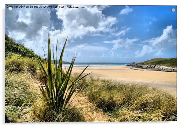 'In Crantock's Dunes' Acrylic by Rob Booth