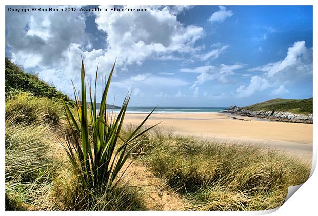 'In Crantock's Dunes' Print by Rob Booth