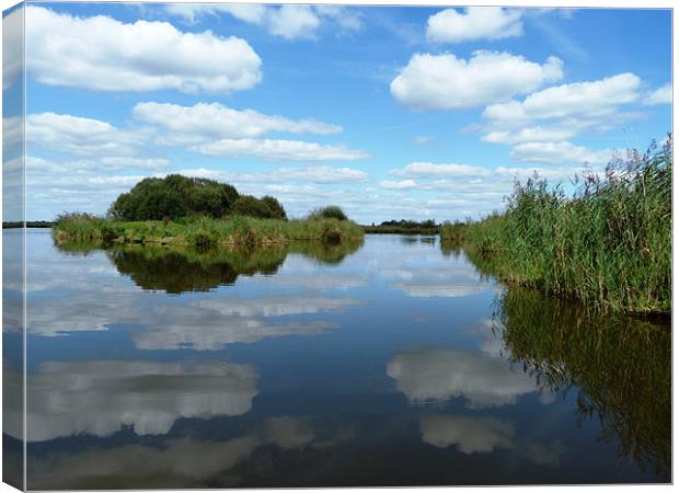 Clouds reflecting in the waters of the reed beds Canvas Print by simon brown