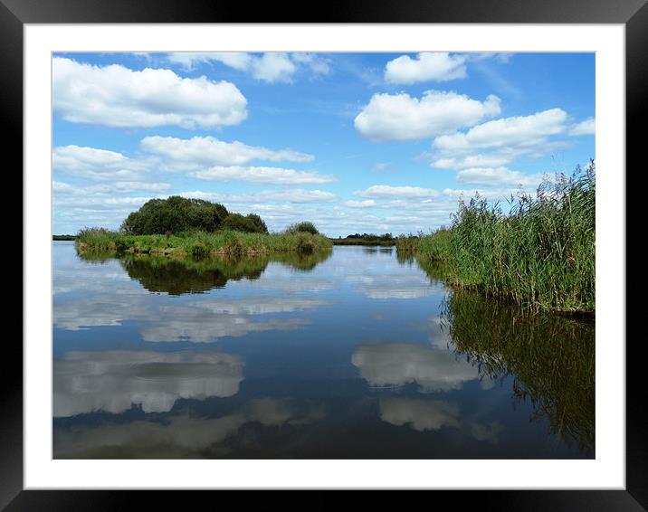Clouds reflecting in the waters of the reed beds Framed Mounted Print by simon brown