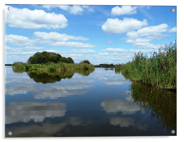 Clouds reflecting in the waters of the reed beds Acrylic by simon brown