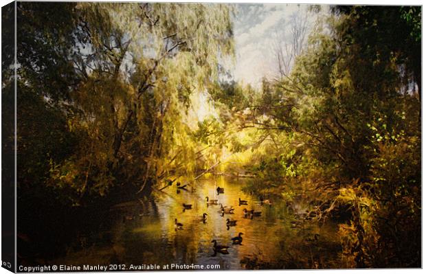 Ducks Along the River Canvas Print by Elaine Manley