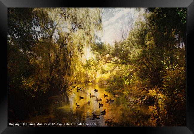 Ducks Along the River Framed Print by Elaine Manley