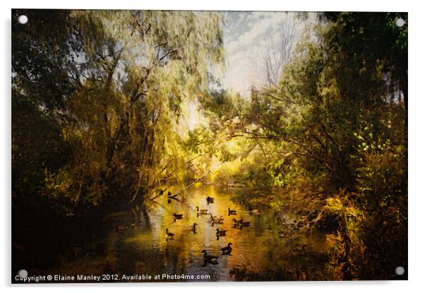 Ducks Along the River Acrylic by Elaine Manley