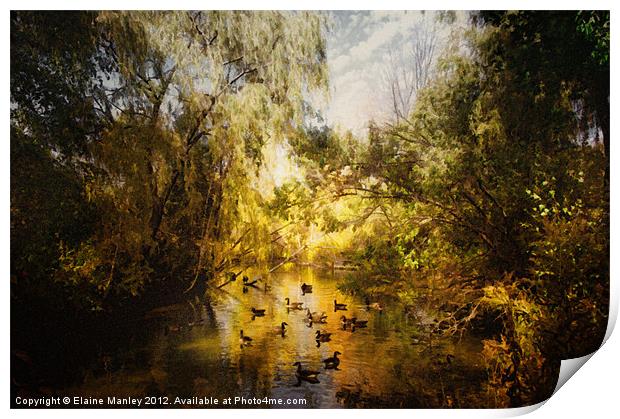 Ducks Along the River Print by Elaine Manley