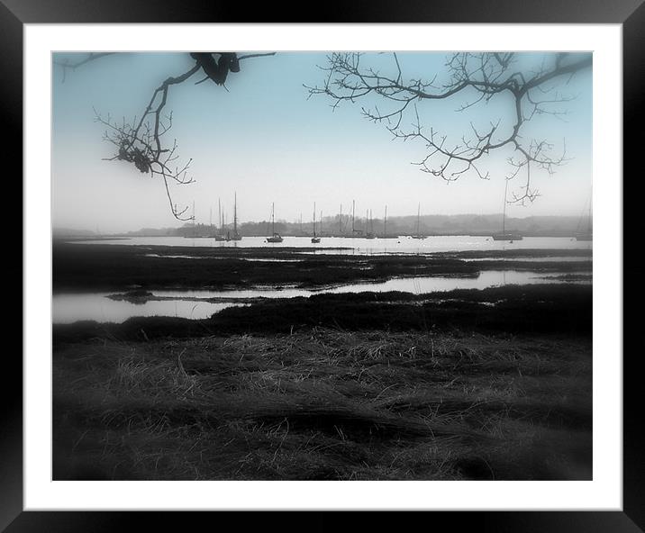 Hazy Day Framed Mounted Print by Jane Chivers