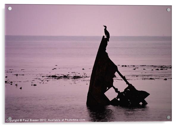 Cormorant taking a break. Acrylic by Paul Brewer