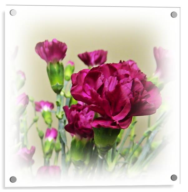 Carnations Acrylic by Sharon Lisa Clarke