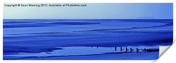 Desolate Blue Print by Sean Wareing