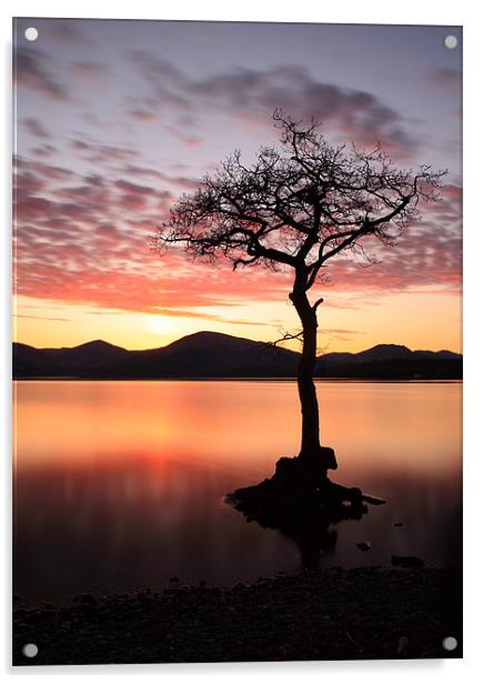 Loch Lomond Sunset Acrylic by Grant Glendinning