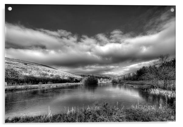 Parc Cwm Darran Icy Lake in Monochrome Acrylic by Steve Purnell