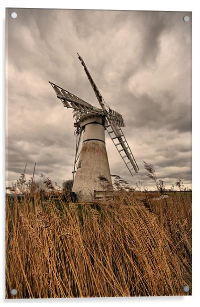 Thurne Mill, Norfolk Acrylic by Sandi-Cockayne ADPS