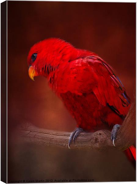 Red Parrot Canvas Print by Karen Martin