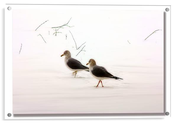 SNOW WALKERS Acrylic by Tom York