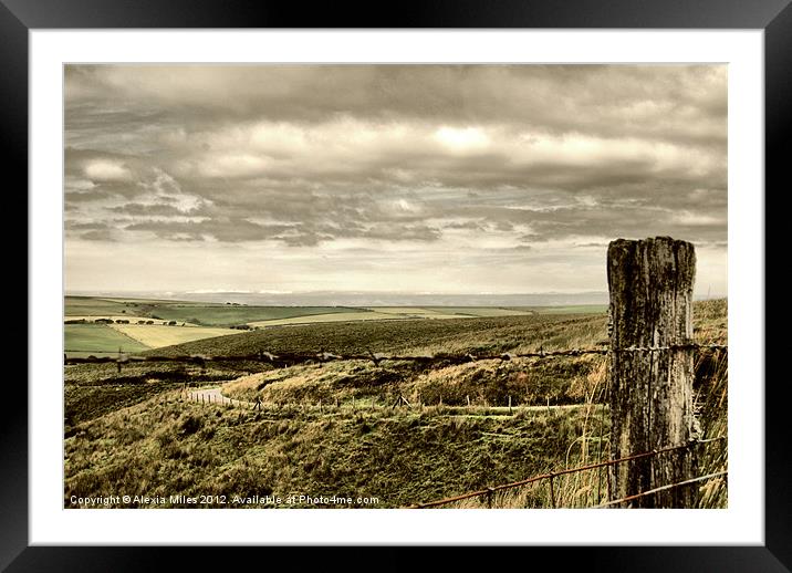 Exmoor Framed Mounted Print by Alexia Miles