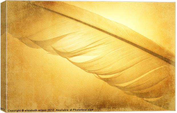 Textured Feather Canvas Print by Elizabeth Wilson-Stephen