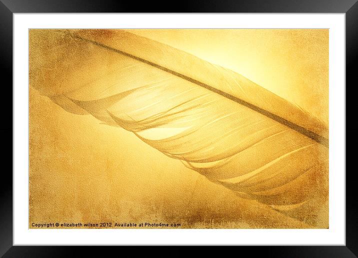 Textured Feather Framed Mounted Print by Elizabeth Wilson-Stephen