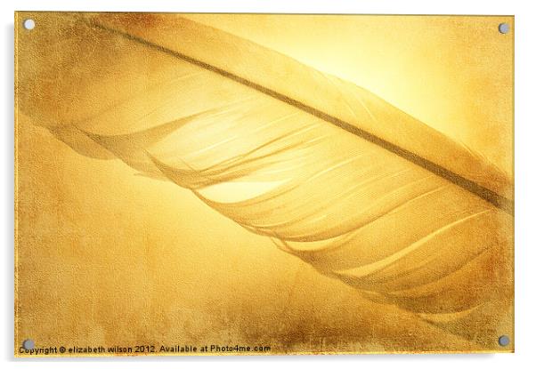 Textured Feather Acrylic by Elizabeth Wilson-Stephen