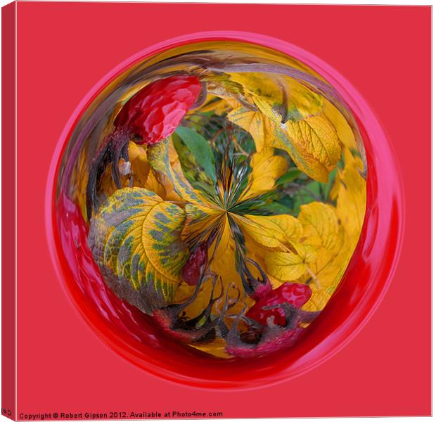 Spherical Autumn in the sphere Canvas Print by Robert Gipson