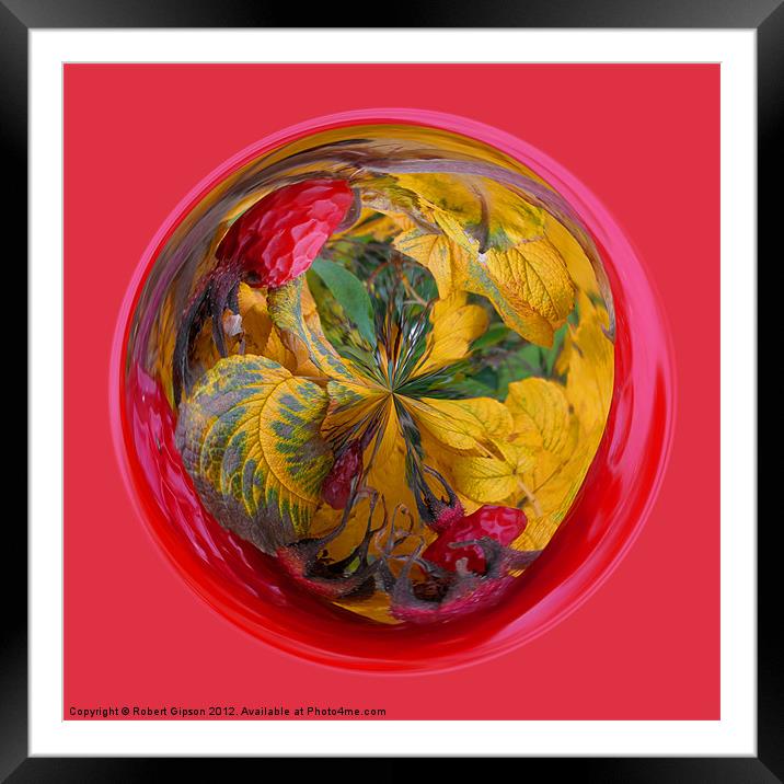 Spherical Autumn in the sphere Framed Mounted Print by Robert Gipson