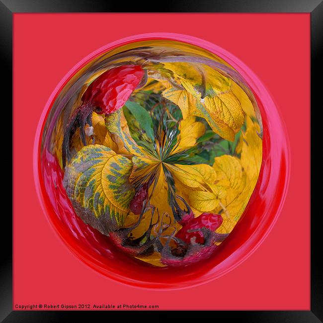Spherical Autumn in the sphere Framed Print by Robert Gipson