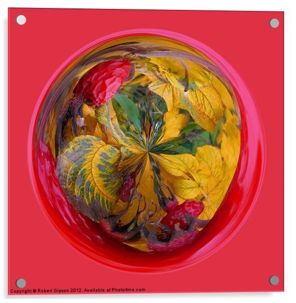 Spherical Autumn in the sphere Acrylic by Robert Gipson
