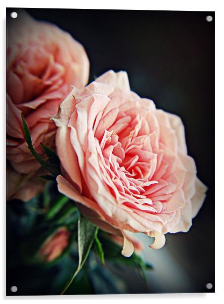 Rose romance pink florals. Acrylic by Rosanna Zavanaiu