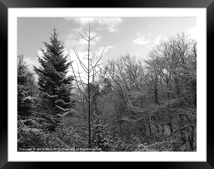 BLACK & WHITE WINTER WONDERLAND Framed Mounted Print by Jon O'Hara