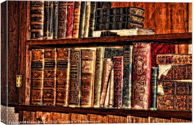 Old Antique Books ... misc  Canvas Print by Elaine Manley