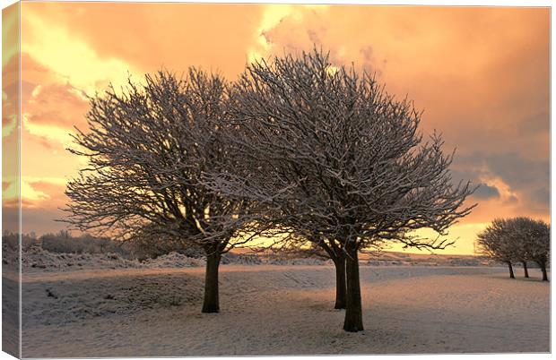 Snow Scene Canvas Print by Dave Wilkinson North Devon Ph