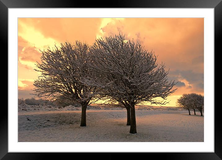 Snow Scene Framed Mounted Print by Dave Wilkinson North Devon Ph