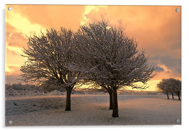 Snow Scene Acrylic by Dave Wilkinson North Devon Ph