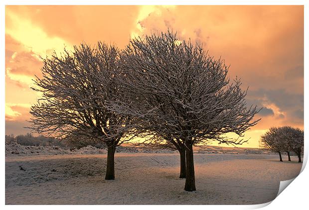 Snow Scene Print by Dave Wilkinson North Devon Ph