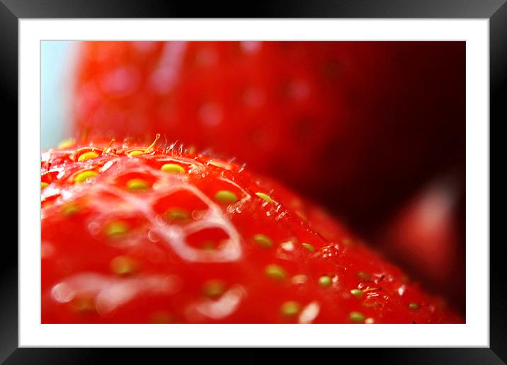 Juicy! Framed Mounted Print by Phil Clements