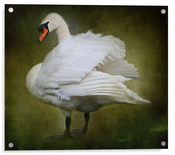 White Swan Acrylic by Karen Martin