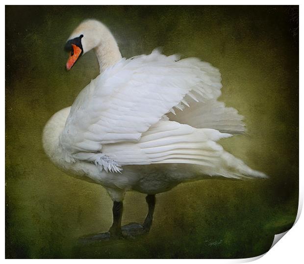 White Swan Print by Karen Martin