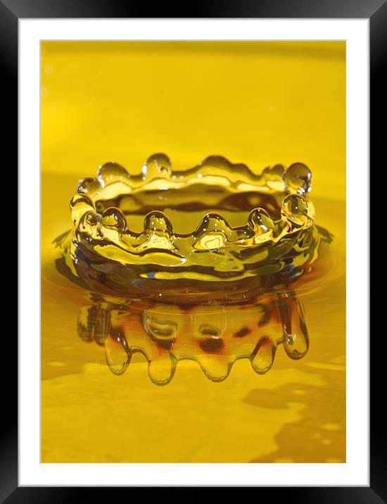 Golden Crown Framed Mounted Print by Val Saxby LRPS