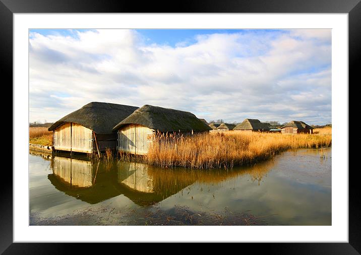 Old Thatched Boat Houses, Norfolk Framed Mounted Print by Sandi-Cockayne ADPS