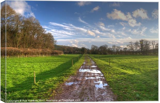 Exe valley trackbed Canvas Print by Rob Hawkins