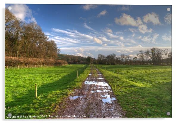 Exe valley trackbed Acrylic by Rob Hawkins