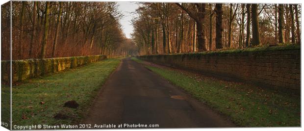 Church Lane 3, Harewood Canvas Print by Steven Watson