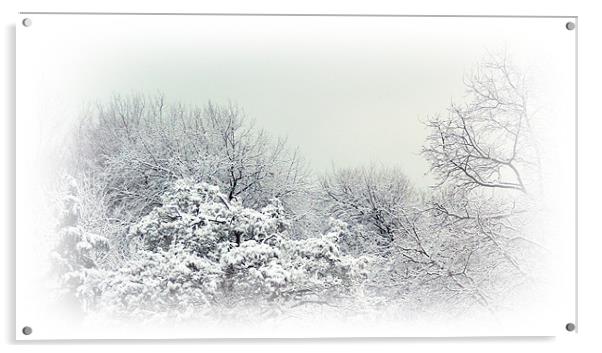 Winter Woods Acrylic by Sharon Lisa Clarke