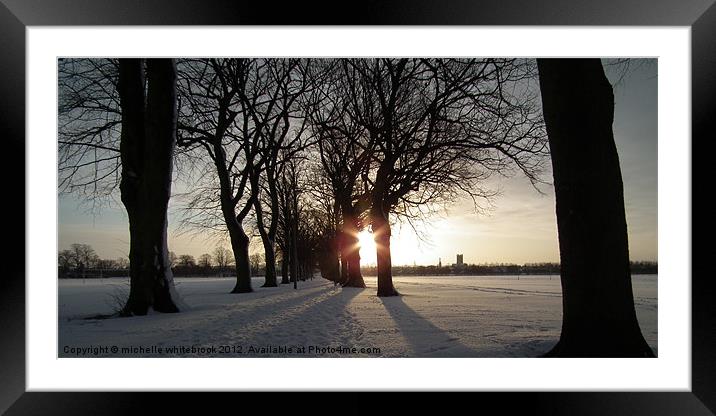 Winters Day Framed Mounted Print by michelle whitebrook