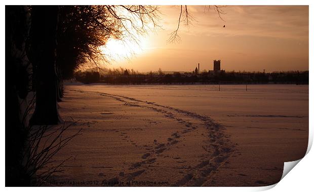 Footprints in the snow Print by michelle whitebrook