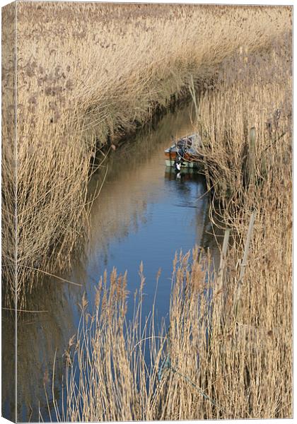Boat in reeds Canvas Print by Kathy Simms