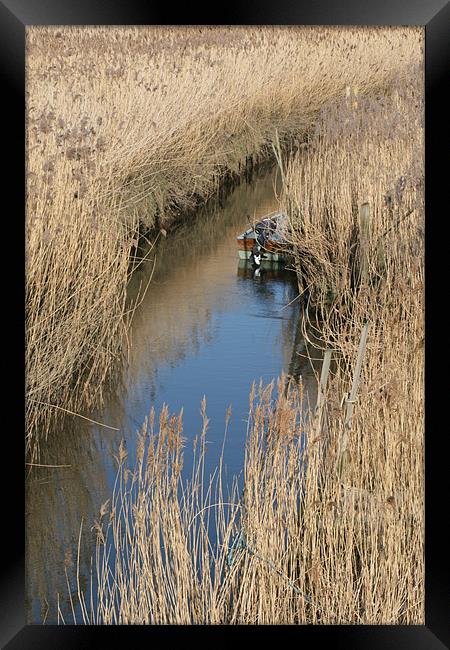 Boat in reeds Framed Print by Kathy Simms