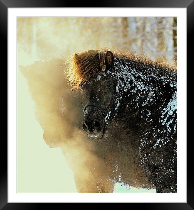 Catching their breath Framed Mounted Print by Alan Mattison